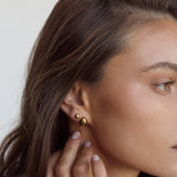 Bean Earrings | 18K Gold